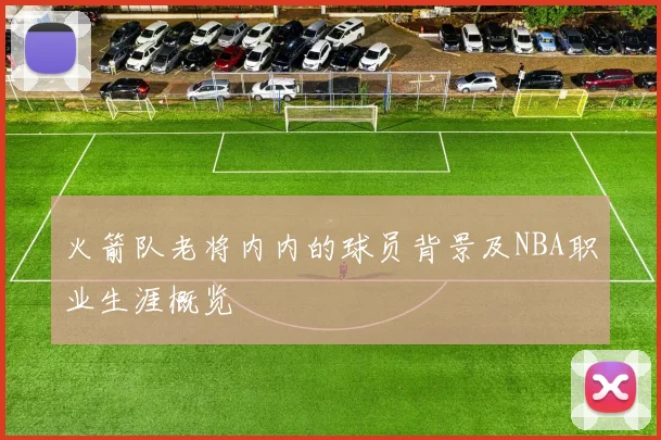 火箭队老将内内的球员背景及NBA职业生涯概览