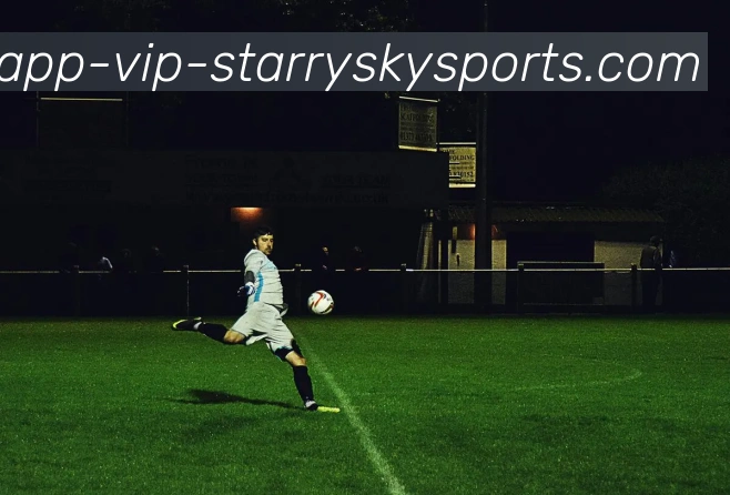 星空体育服务体系